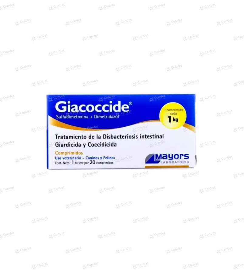 0430101003-GIACOCCIDE-AMARILLO-1-KG-x-CJ-x-20-UND.webp