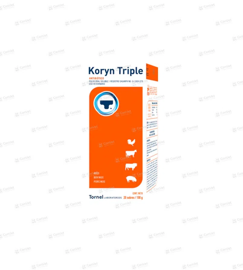 0650101005-KORYN-TRIPLE-x-100-GR.webp