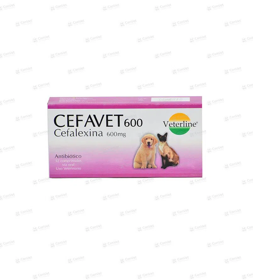 0690101007-CEFAVET-600-MG-x-CJ-x-32-UND.webp