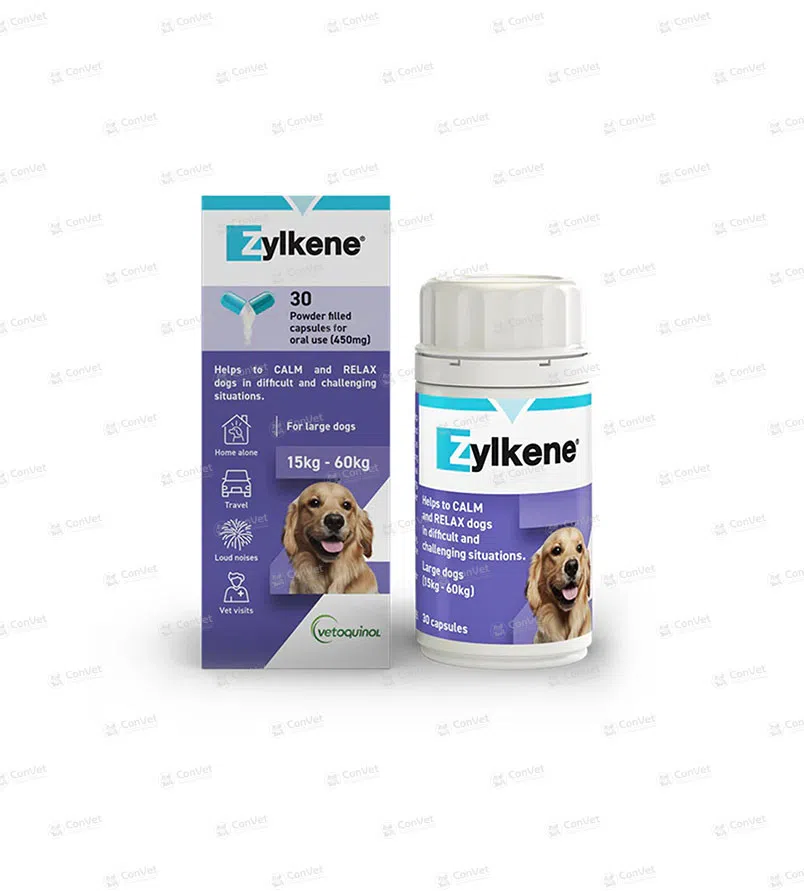 0710134003-ZYLKENE-450-MG-x-30-UND.webp